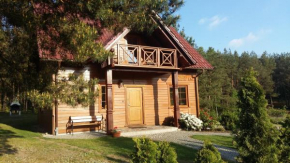 Kaszubskie Zacisze dom nad jeziorem, sauna, balia ogrodowa in Śluza